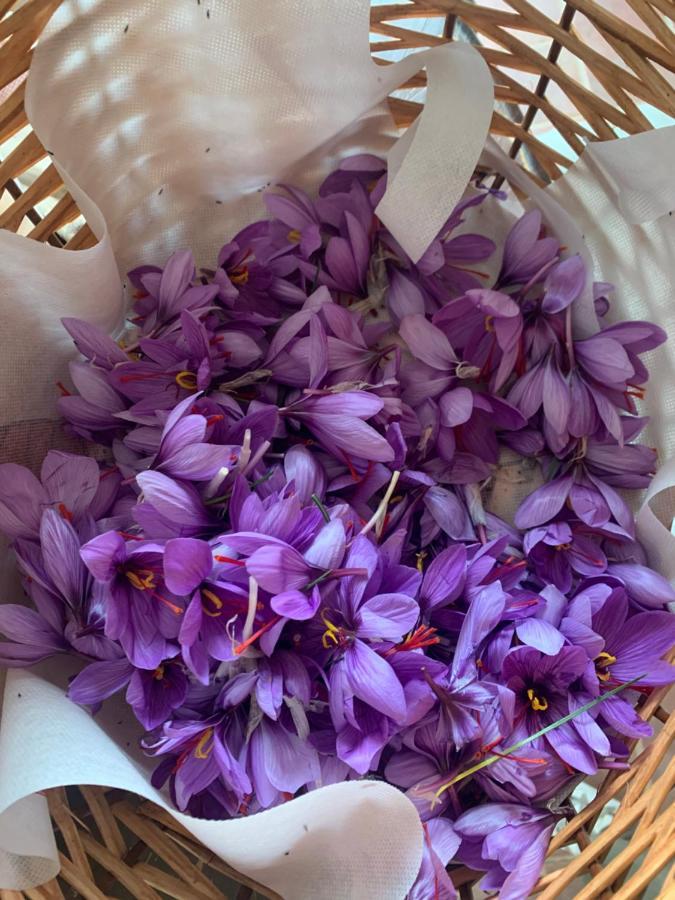 Agriturismo Il Puntoncino マルシリアナ エクステリア 写真