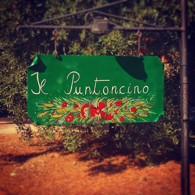 Agriturismo Il Puntoncino マルシリアナ エクステリア 写真
