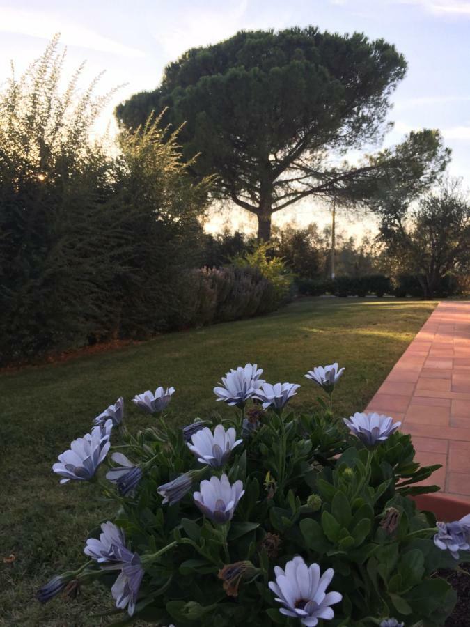 Agriturismo Il Puntoncino マルシリアナ エクステリア 写真